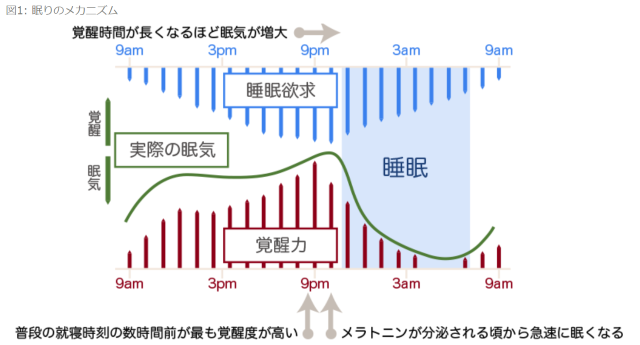 眠りのメカニズム