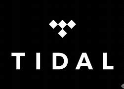 Tidal　日本で使う