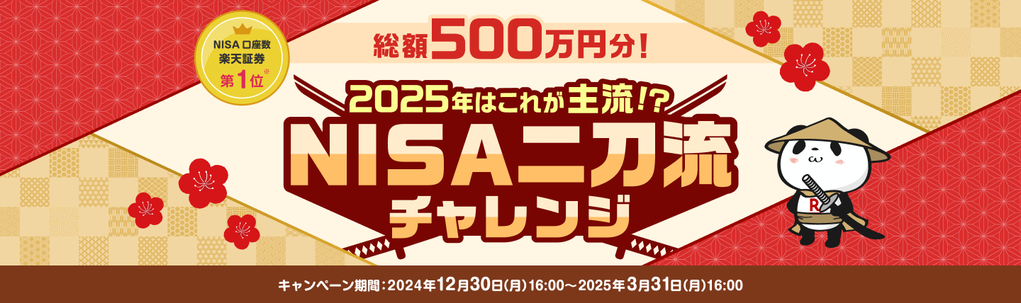 総額500万円！2025年はこれが主流！？NISA二刀流チャレンジ